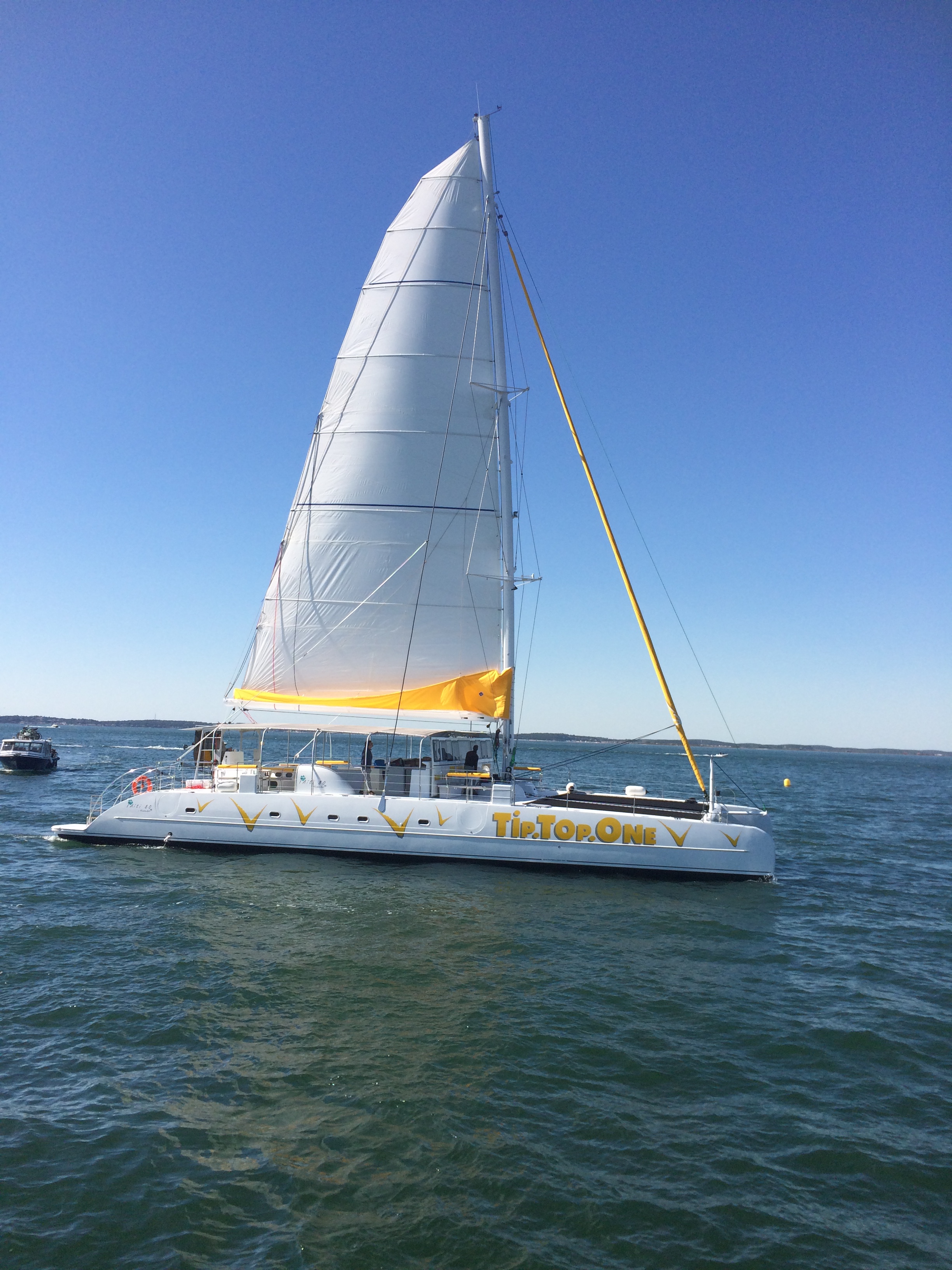 ARRIVEE%20VOILE%20TIP%20TOP%20ONE