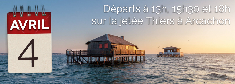 Cabanes tchanquées de l'île aux oiseaux