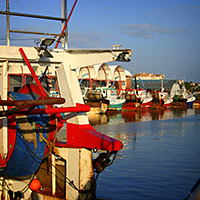 Galerie photo